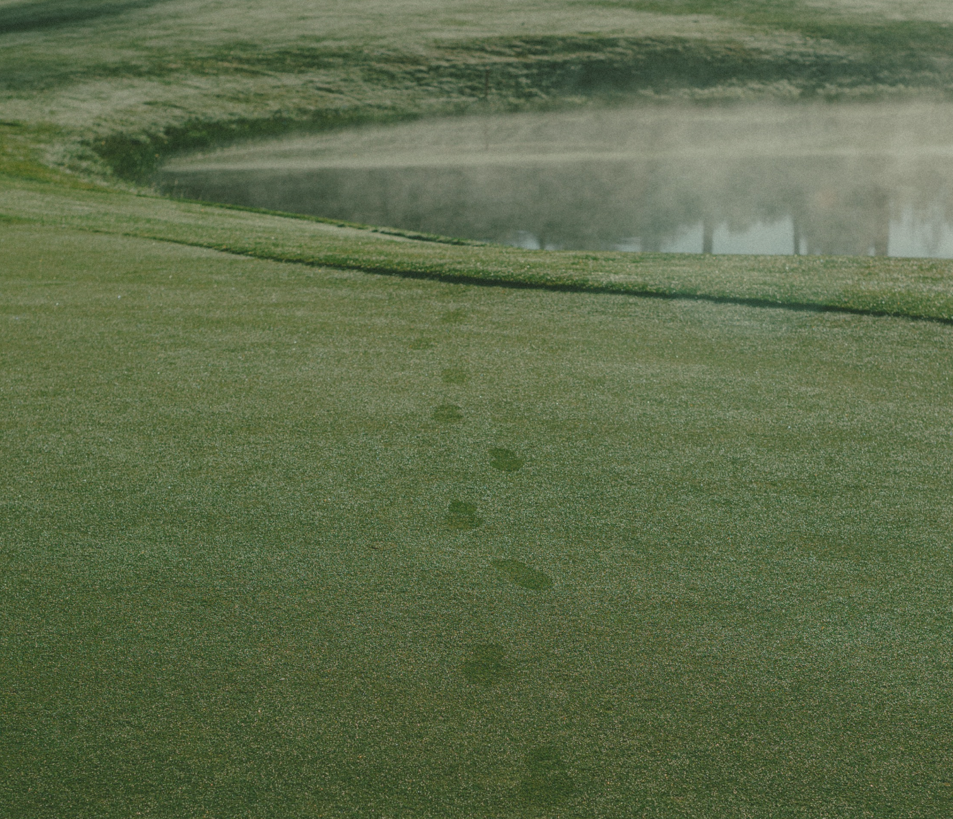 Who's Next on the LPGA?